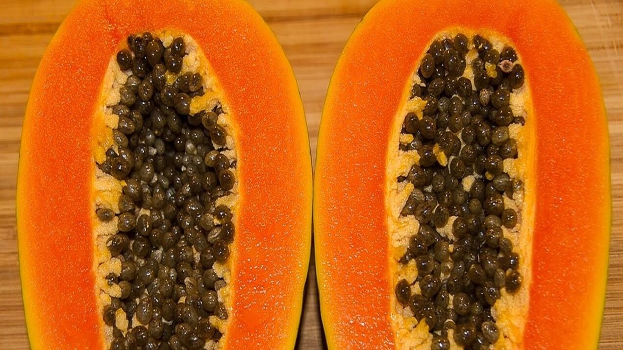 solucan yapmak için papaya tohumları